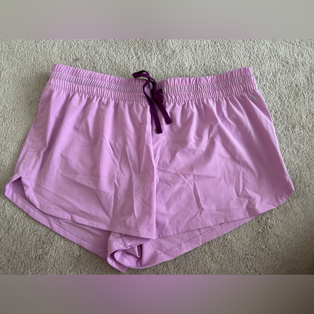 DSG Dick’s Sporting Goods Running Shorts Size Large